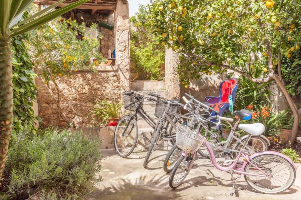Ca Na Marreta Сasa de vacaciones Porreras
